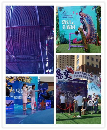 台州市本地杂技马戏团表演出租