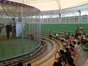 历时24年的马戏表演叫停遇阻 动物园 将依法劝退