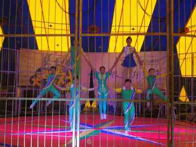 金华马戏团表演出租团队联系电话资源