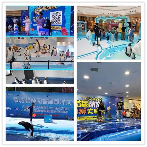 平凉市马戏团表演动物租赁形式丰富