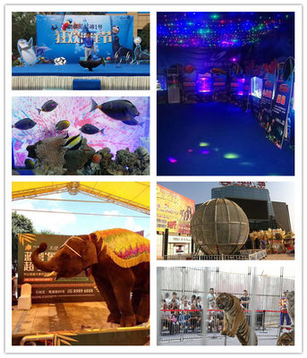 合作市萌宠羊驼出租马戏团表演