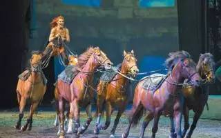 错过了《战马》?没关系,还有冯小刚夫妇、陈凯歌夫妇力挺的《舞马》!_人文频道_东方头条