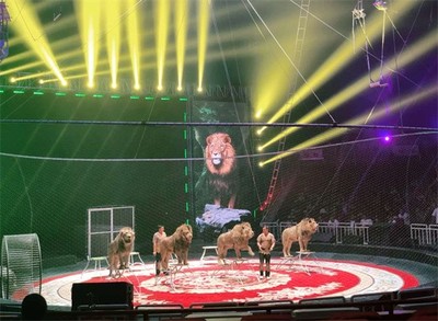 山西省吕梁市本地马戏团表演海狮出租节目丰富多少钱