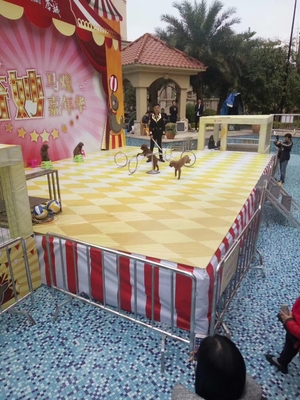 马戏团活动主题 出租马戏团