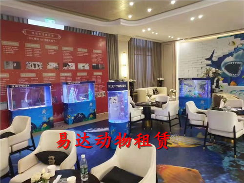 马戏团表演出租租赁马戏团大飞轮表演出租租赁价格优惠.云浮