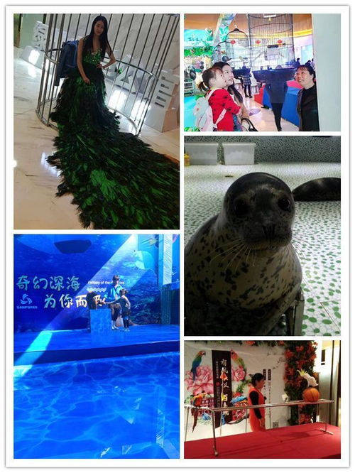 樟树市马戏团表演出租哪有