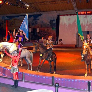 本地哪里有马戏团商演