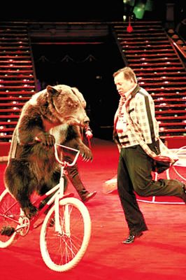 马戏团表演出租电话