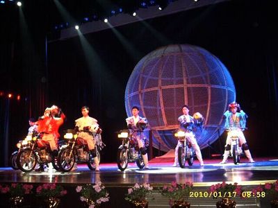 马戏团表演出租哪里有