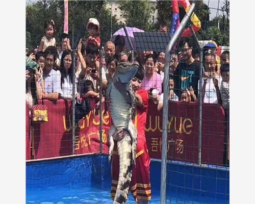 施秉县出租海狮表演一场多少钱