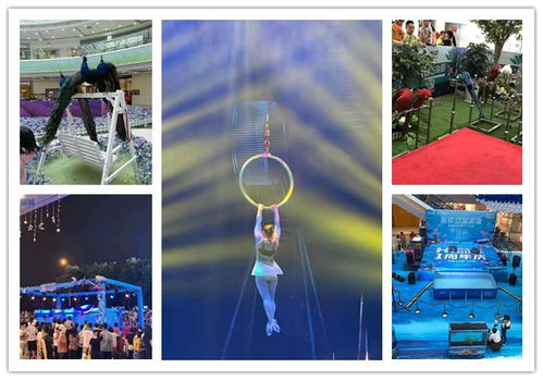 三门峡鳄鱼表演出租公司