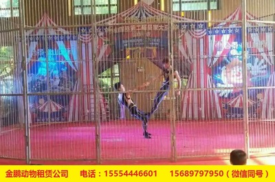 专业马戏团表演团体出租租赁鹤壁_养殖/种植栏目_