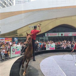 固始县外籍马戏团表演出租档期有没有