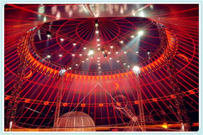 皇家马戏团表演表演多少钱南昌