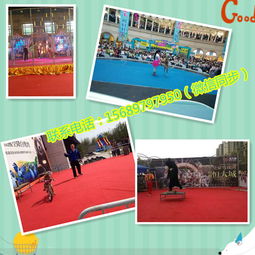 马戏团表演出租六安市