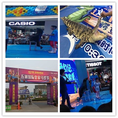 尼勒克县大型马戏团杂技表演租赁出租租赁