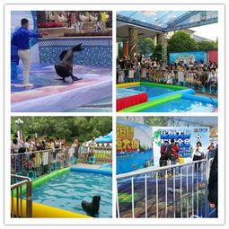 陕西商洛市小型马戏团演出出租价格多少