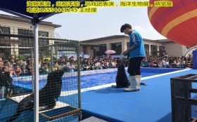 哪里有出租马戏团的潞城海洋生物展