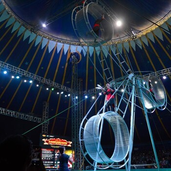 大型马戏团出租杂技表演租赁马戏团价格