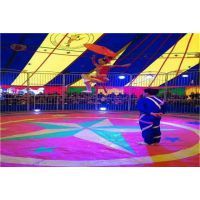 【湖北专业马戏团杂技表演出租图片】湖北专业马戏团杂技表演出租