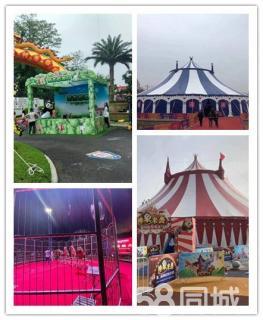 当地高端大马戏团表演动物租赁