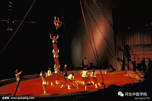 还留守在石家庄的小可爱们注意啦