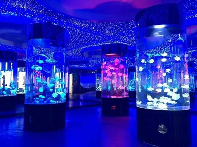 胜凯|动物出租|马戏团表演出租|鱼缸展|环球飞车|驯鹿出