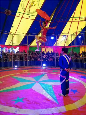 地产开盘暖场大马戏团表演出租咨询预定