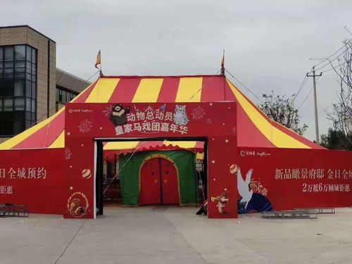 【佛山马戏团出租租赁】- 