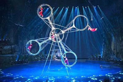 鹤岗租赁各种动物的公司