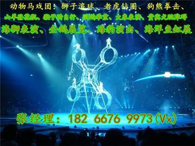 秦皇岛羊驼动物租赁