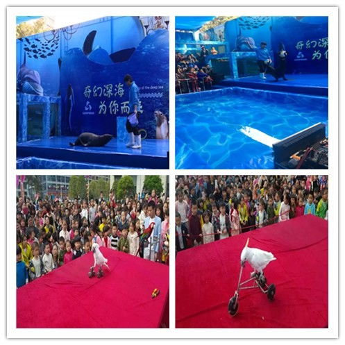 辽宁盖州市马戏团表演出租当地