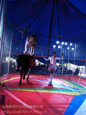 俄罗斯马戏表演团租赁马戏团杂技演出出租