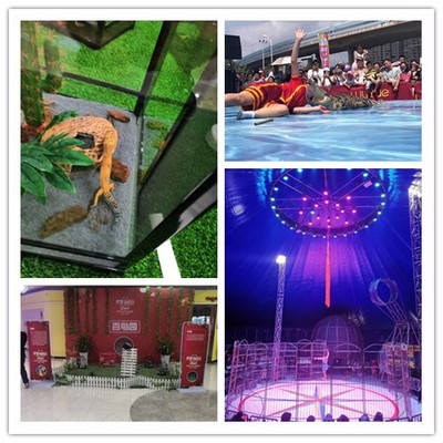 贵州省贵阳市小河区海洋展租赁收益颇丰