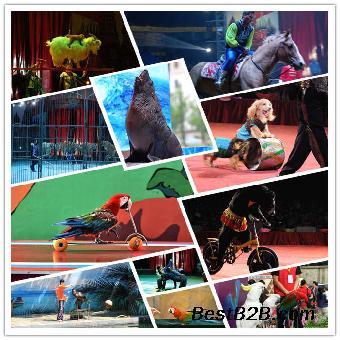 马戏团表演出租天津_志趣网