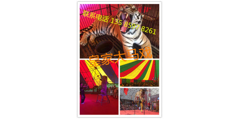哪里有马戏团表演出租