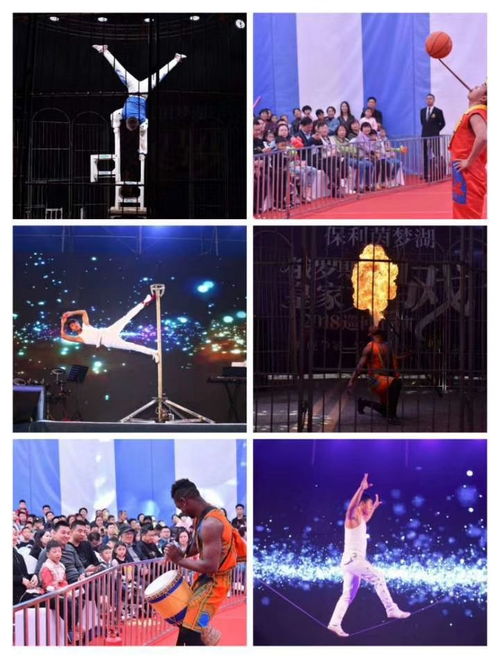 小马戏表演租赁马戏团表演出租价格