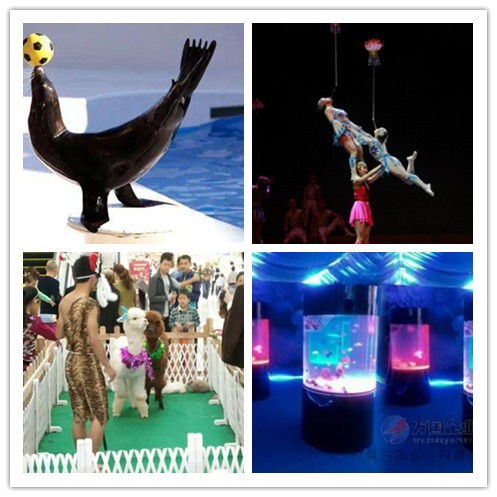 海门马戏团百鸟园展览出租价格明细