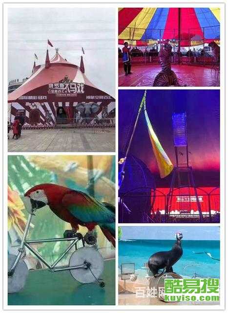 【北京b2驾照增驾a2增驾a1-金牌教练教学】-北京酷易搜