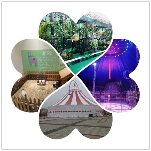 全椒县周边鹦鹉表演出租