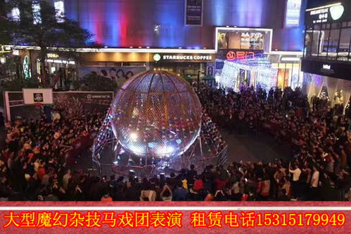 出租海狮表演马戏团演出动物表演浙江省嵊州