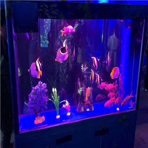 肃北县国际马戏团表演