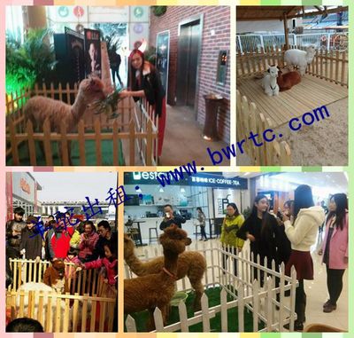 黔南什么地方有出租马戏团的吗?_产品库_金农网