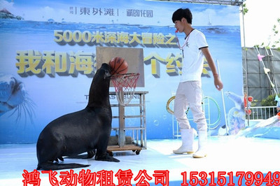 河南省平舆马戏团动物杂技表演出租价格优惠吗