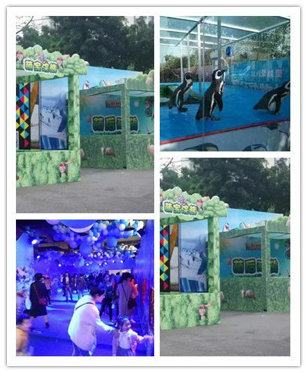 武穴市马戏团表演出租合作平台