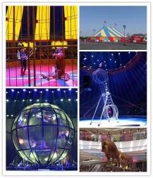 十堰萌宠动物羊驼展览租赁海狮马戏团表演出租百鸟展鹦鹉表演