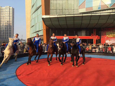 租赁动物皇家马戏团商业庆典互动暖场