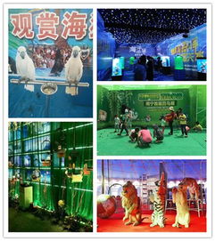 山东省淄博市淄川区百鸟展租赁多少钱一天