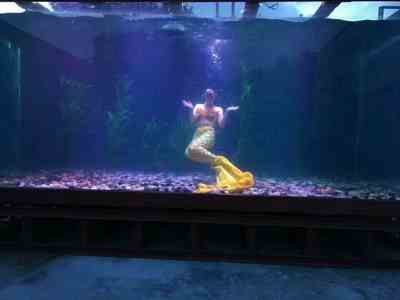 新闻河南郏县 一手资源