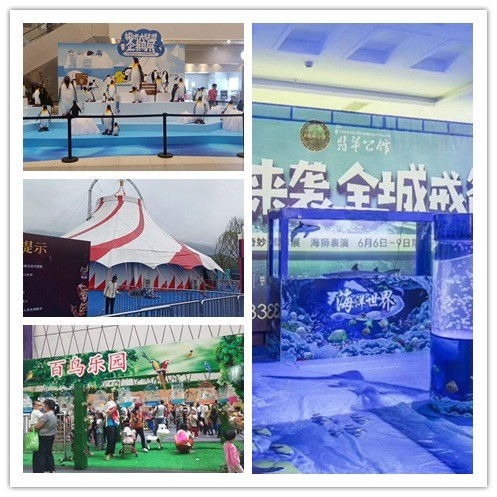 湖北汉川市萌宠展出租有没有